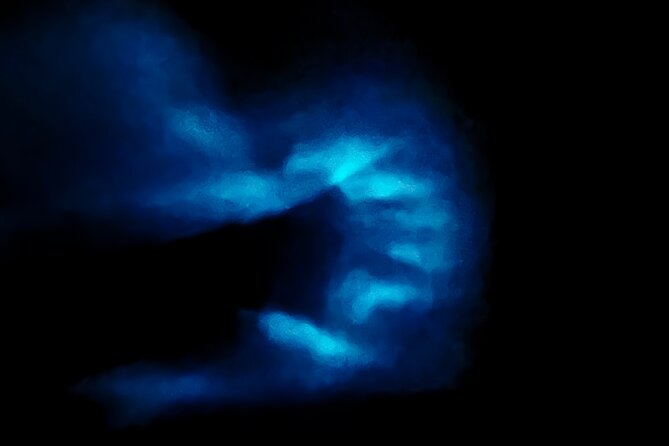 Bio Bay Tour Vieques  Full Clear Canoes Experience - Who Should Consider This Tour?