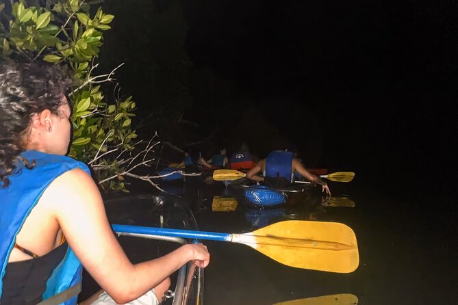 Bio Bay Tour Vieques  Full Clear Canoes Experience - The Sum Up
