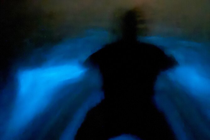 Bio Bay Tour Vieques  Full Clear Canoes Experience - The Price and Its Reflection on Value