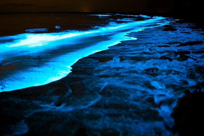 Full Clear Kayak Bioluminescent Experience Vieques, Puerto Rico - A Detailed Look at the Full Clear Kayak Bioluminescent Experience