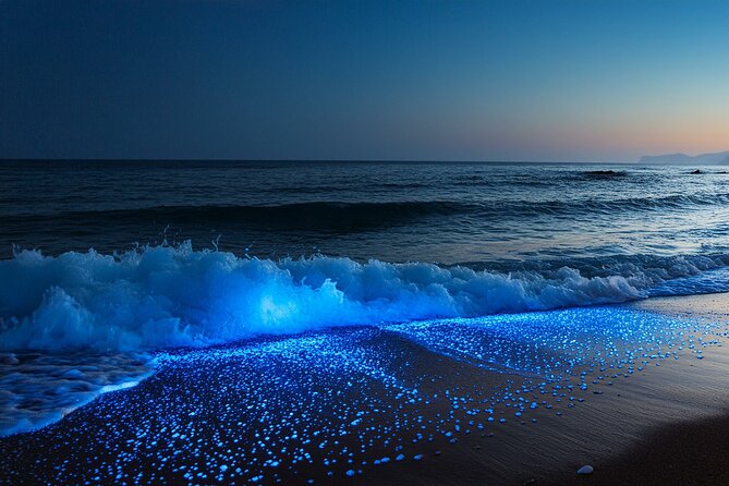 Full Clear Kayak Bioluminescent Experience Vieques, Puerto Rico - Key Points