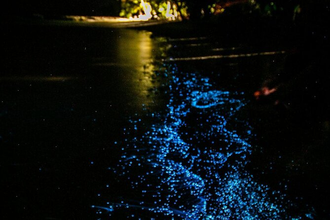 Full Clear Kayak Bioluminescent Experience Vieques, Puerto Rico - The Sum Up