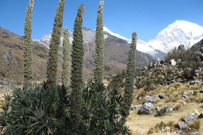 Lake 69 Full-Day Hiking Tour from Huaraz - Is This Tour Worth It?