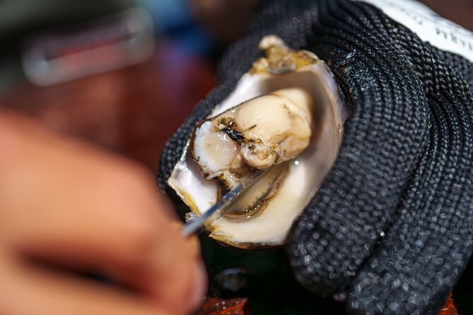 Coffin Bay Tour with Oyster Shucking and Off Road Adventure - Practical Details: What You Need to Know