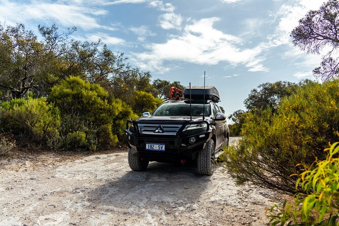 Coffin Bay Tour with Oyster Shucking and Off Road Adventure - Insights from Reviews: What Travelers Appreciate Most
