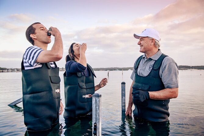 Port Lincoln and Coffin Bay Day Tour - What Makes This Tour Stand Out?