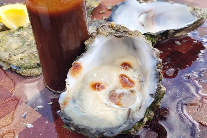 Port Lincoln and Coffin Bay Day Tour - Who Will Enjoy This Tour?