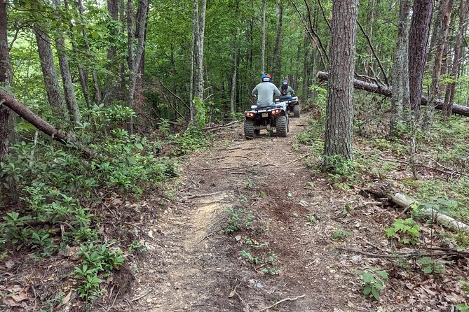 East Tennessee Off Road ATV Guided Experience - Who Should Consider This Tour?
