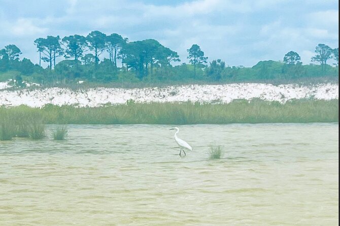 Guided Stand up Paddle Activity - What Makes This Tour a Great Value?