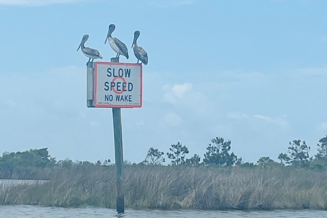 Guided Stand up Paddle Activity - Who Should Book This Tour?