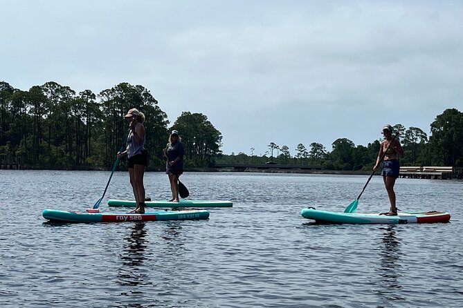 Guided Stand up Paddle Activity - Final Thoughts: An Authentic and Educational Escape