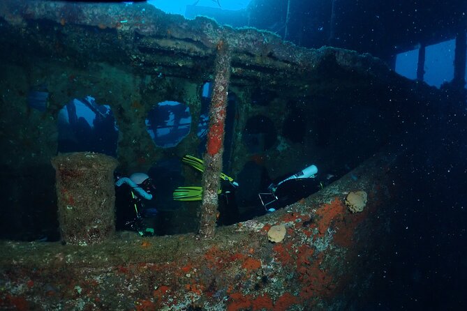 Wreck and Bridge Span Dive for Certified Divers - Why You Should Consider This Tour