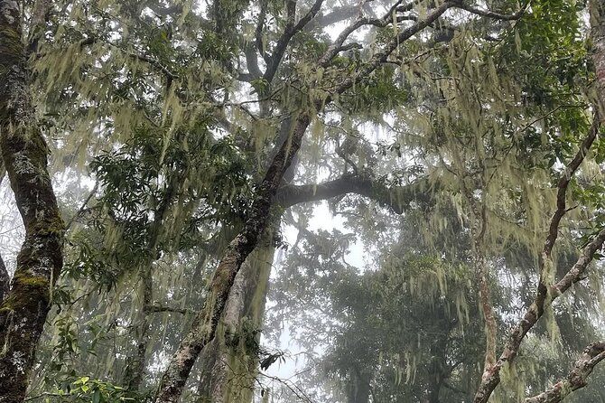 Mount Rinjani Second Summit 2 Days 1 Night - What’s Included and What to Expect