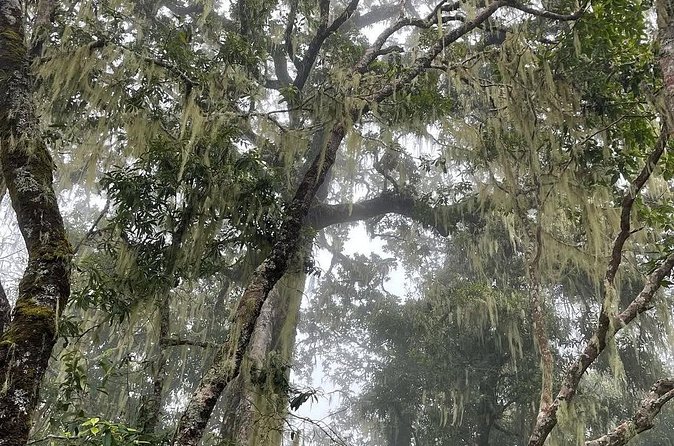 Mount Rinjani Second Summit 2 Days 1 Night - Authentic Experiences and Authentic Guides