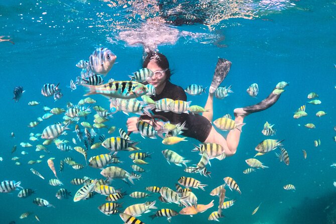 Snorkeling Trip Gili Gede, Asahan, Rengit, Layar and Goleng - An In-Depth Look at the Itinerary and Experience
