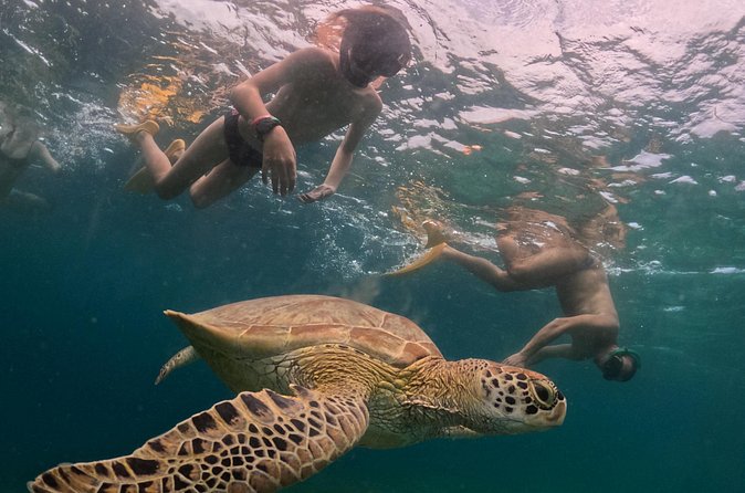 Private 3 Gili Trip - Authentic Insights from Reviews