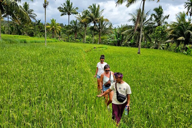 Lombok Hidden Waterfalls Walk, Rice Fields & Weaving Village - Who Should Consider This Tour?