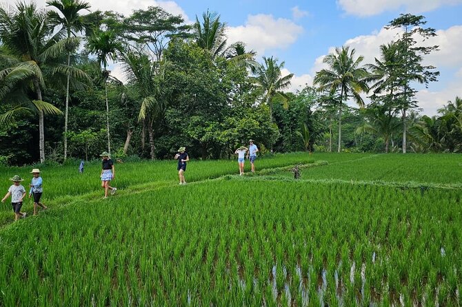 Lombok Hidden Waterfalls Walk, Rice Fields & Weaving Village - FAQ