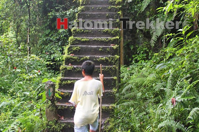 North Lombok Waterfalls - FAQ