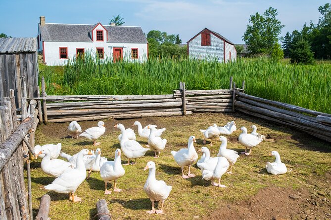 Family visit to the Acadian Historic Village - Practical Tips for Visiting