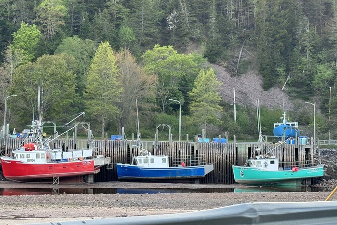 Private Guided Fundy Tour in Saint John - Who Should Book This Tour?