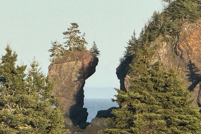 Private Guided Fundy Tour in Saint John - Good To Know