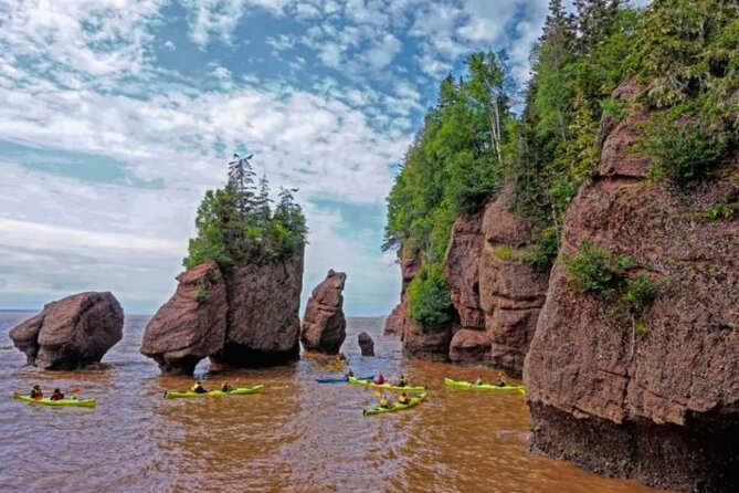 Saint John (NB) Bay of Fundy and Hopewell Rocks Private Tour - Transportation and Logistics
