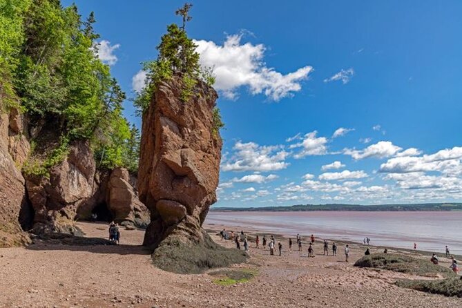 Saint John (NB) Bay of Fundy and Hopewell Rocks Private Tour - Good To Know