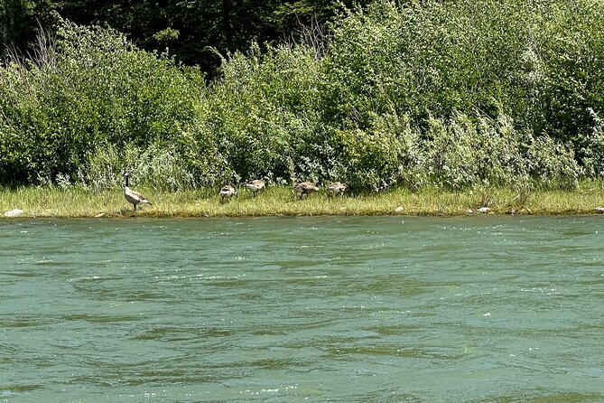 Private Scenic Snake River Float - Grand Teton Nat'l Park - Who Should Consider This Tour?