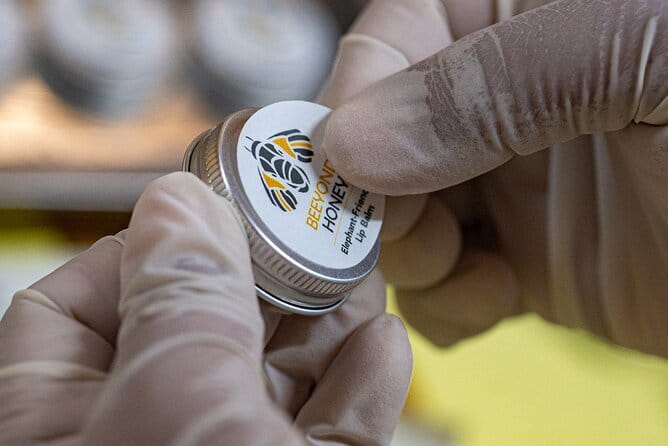 Kui Buri Wildlife Park & Community Living Beside Elephants - Good To Know