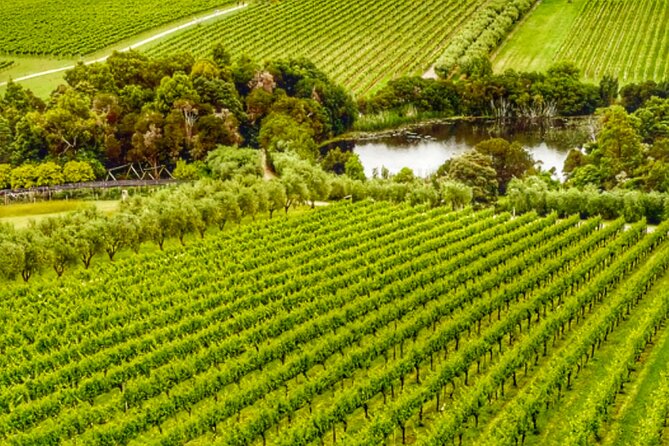 Mornington Peninsula Private Wine Tour. Your day. Your Way. - An In-Depth Look at the Mornington Peninsula Private Wine Tour