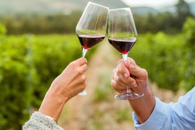 Mornington Peninsula Private Wine Tour. Your day. Your Way. - Comfort & Transportation