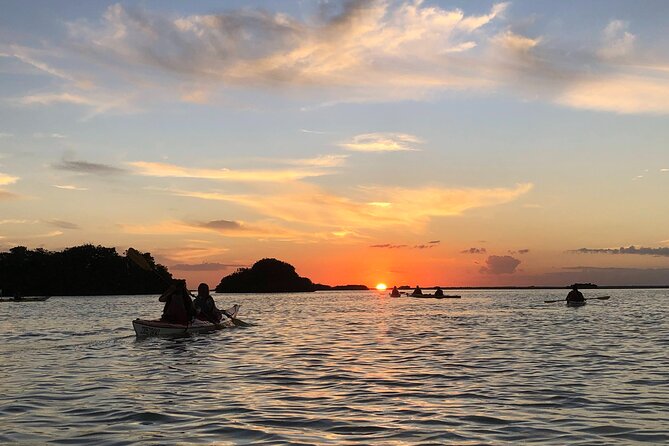 Kayak Sian Kaan Experience - A Closer Look at the Sian Kaan Kayak Tour