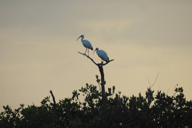 Kayak Sian Kaan Experience - FAQs