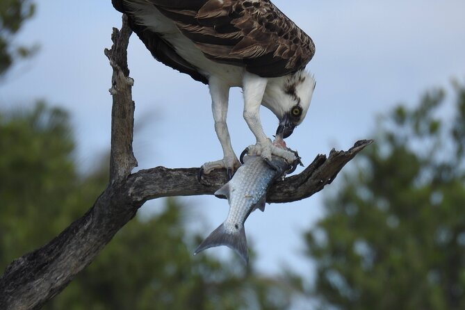 Kayak Sian Kaan Experience - Authentic Experiences and Real Feedback