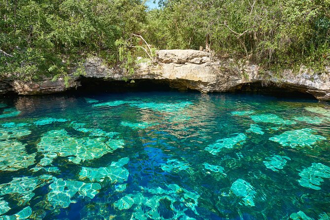 Half Day Private Snorkeling with Turtles and Majestic Cenotes - A Deep Dive Into the Experience