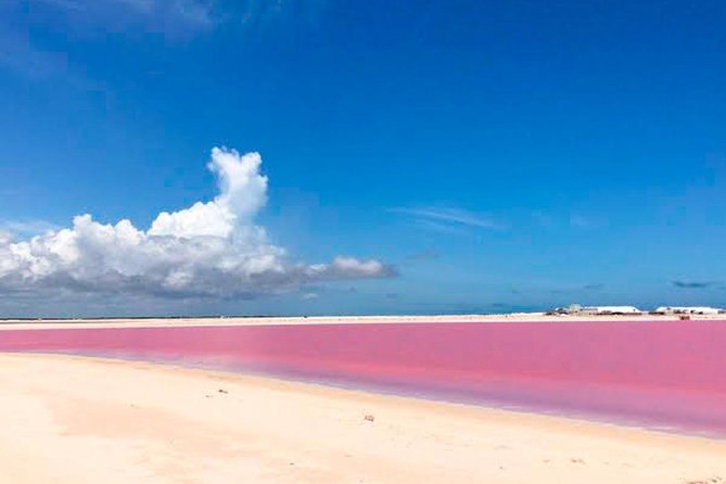 Natural Pink Lake Coloradas Transportation Included from Tulum - Final Thoughts: Who Will Love This Tour?
