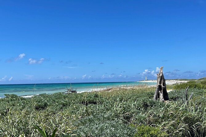 Take a Ride in your Buggie in Cozumel only from Tulum - Who Is This Tour Best For?