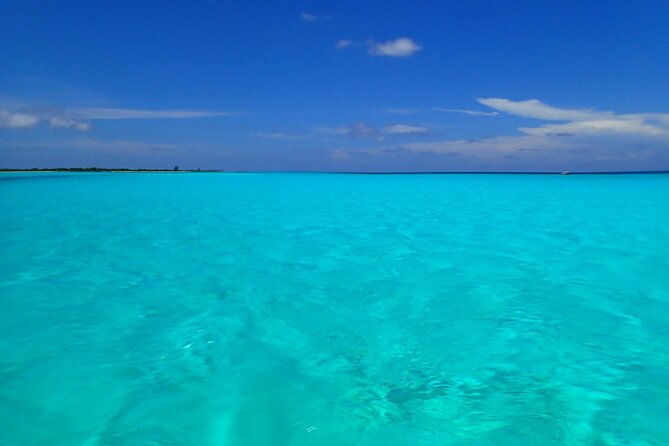 Take a Ride in your Buggie in Cozumel only from Tulum - Detailed Review of the Experience