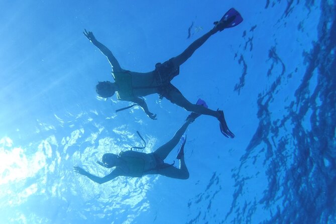 Take a Ride in your Buggie in Cozumel only from Tulum - The Sum Up