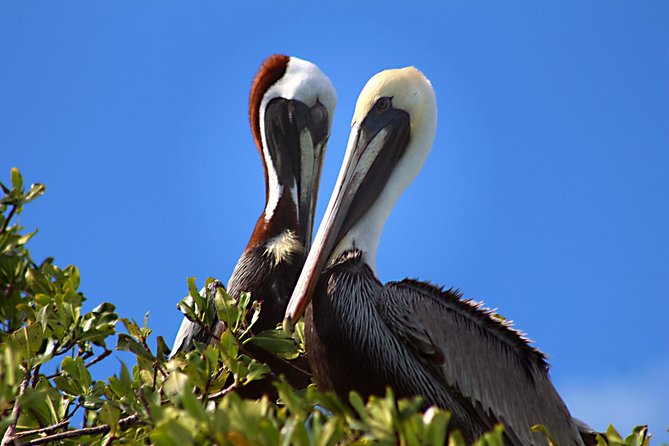 Sian Ka'an Adventure Full Day Trip to Punta Allen - Snorkeling on the Mesoamerican Barrier Reef