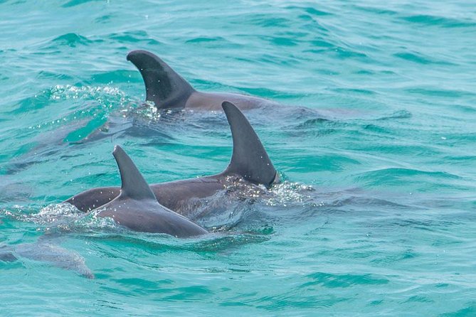 Sian Ka'an Adventure Full Day Trip to Punta Allen - The Real Experience: From the Reviews