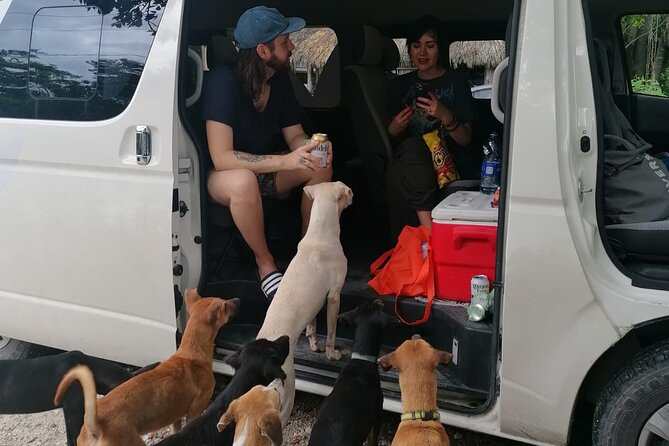 Tulum Private Transportation - A Closer Look at Tulum Private Transportation