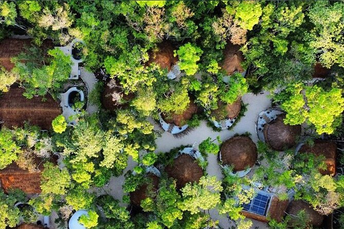 Floating breakfast in The Yellow Nest (near Dos Ojos cenote) - FAQ
