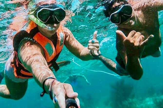 Private Tour Reefs and Corals Puerto Morelos Snorkel Lunch - The Itinerary in Detail