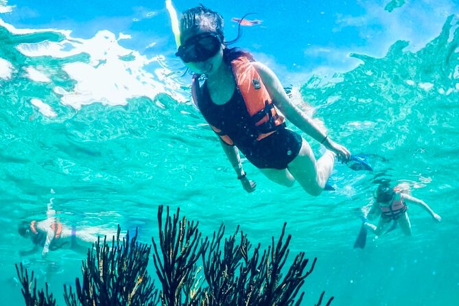 Private Tour Reefs and Corals Puerto Morelos Snorkel Lunch - Introduction to the Tour