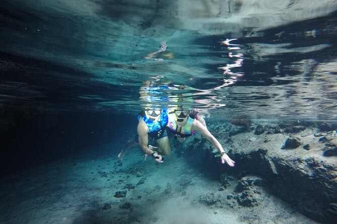 Snorkeling with Sea Turtles and Cenote Adventure - Why This Tour Offers Great Value