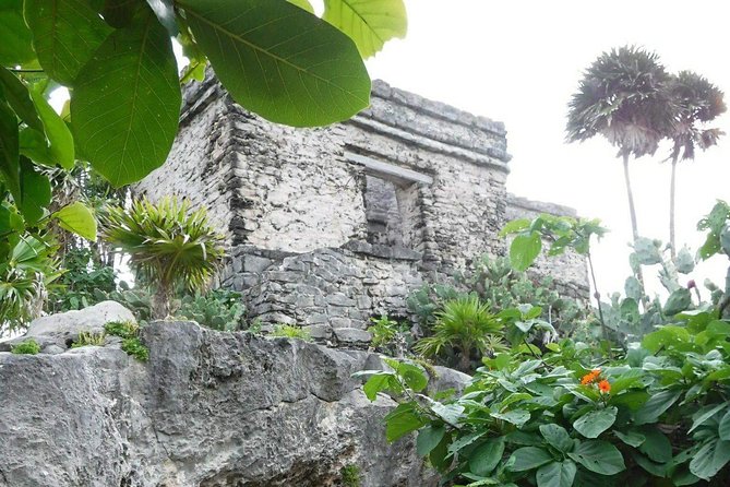 Tulum Ruins Tour (Private, Half Day) - Who Would Love This Tour?