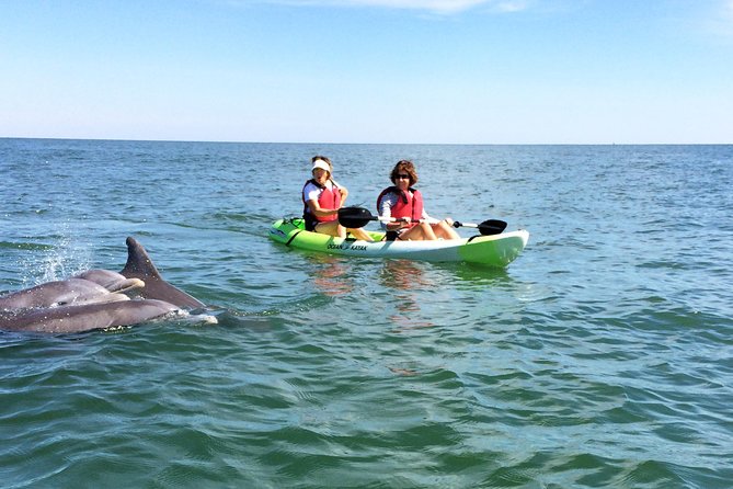 Small Group Dolphin Kayak Eco-Tour - Small Group Dolphin Kayak Eco-Tour — An Up-Close Wildlife Adventure in Virginia Beach