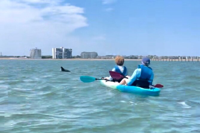 Dolphin Kayak Tour in Virginia Beach Must know how to swim - Wildlife Encounters and What You Might See